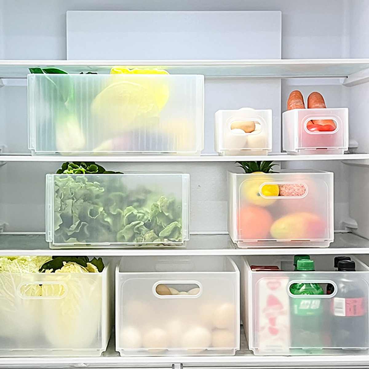 WORTHBUY Plastic Folding Fridg - огляд і ціна Xxl Food Storage Container