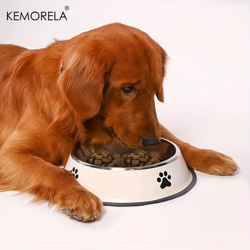 Stainless Steel Pet Dog Bowl F - огляд і ціна Xxl Food Storage Container