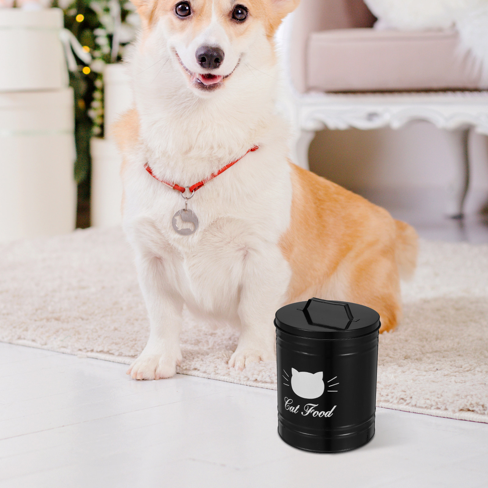 Iron Pet Food Storage Bin Airt - огляд і ціна Food Storage Jars Airtight