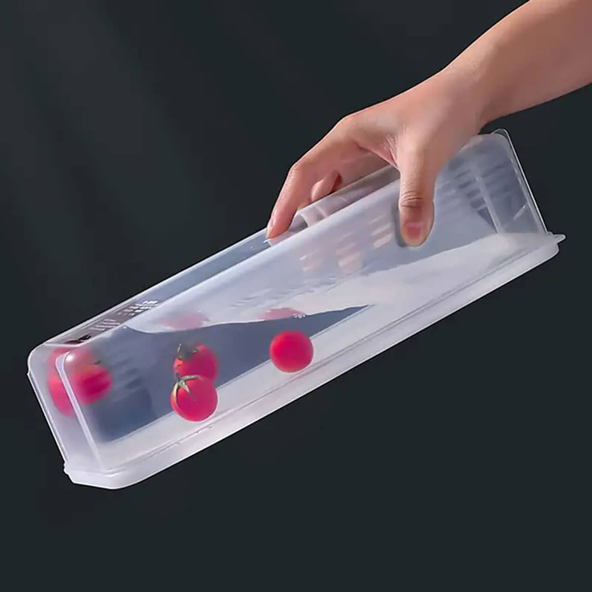 1 Plastic Transparent Storage  - огляд і ціна Food Storage Meals